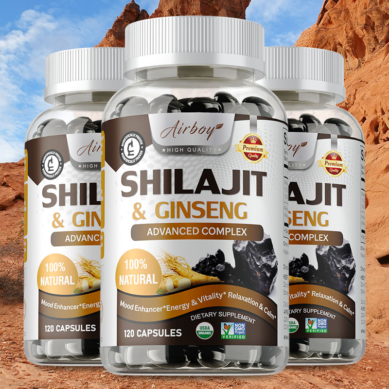 Ginkgo Biloba Extract - Shilajit & Ginseng - Supporto energetico